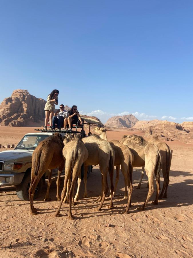 Wadi Rum Quiet Sky Exteriör bild
